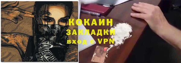 крисы Алзамай