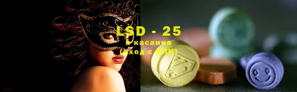 крисы Алзамай