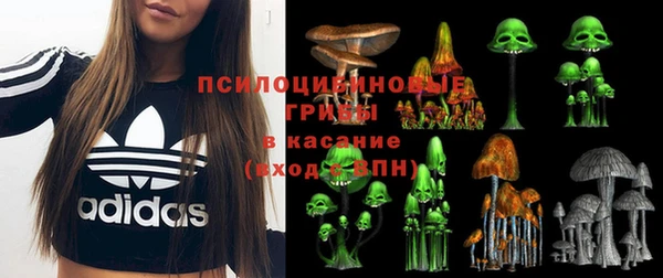крисы Алзамай